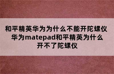 和平精英华为为什么不能开陀螺仪 华为matepad和平精英为什么开不了陀螺仪